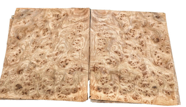 Carpathian Elm Burl wood veneer 9" x 10" raw no backer AA grade 1/42" thick