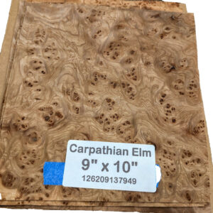 Carpathian Elm Burl wood veneer 9