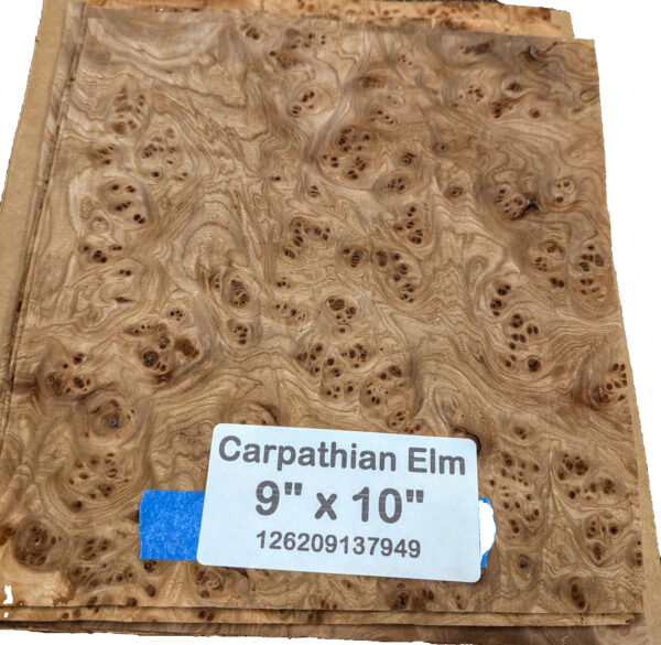 Carpathian Elm Burl wood veneer 9" x 10" raw no backer AA grade 1/42" thick