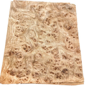 Carpathian Elm Burl wood veneer 9